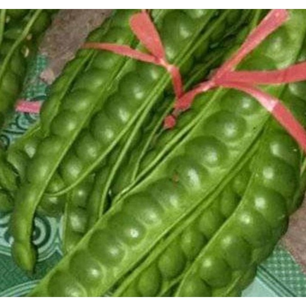 

PETE SEDANG 10 PAPAN/ 10 BIJI .