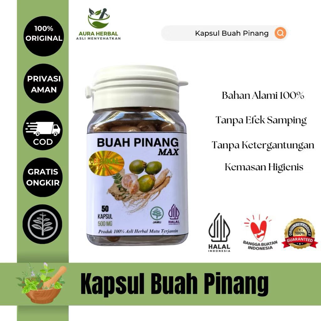 Kapsul Buah Pinang Muda MAX Isi 50 Original Herbal