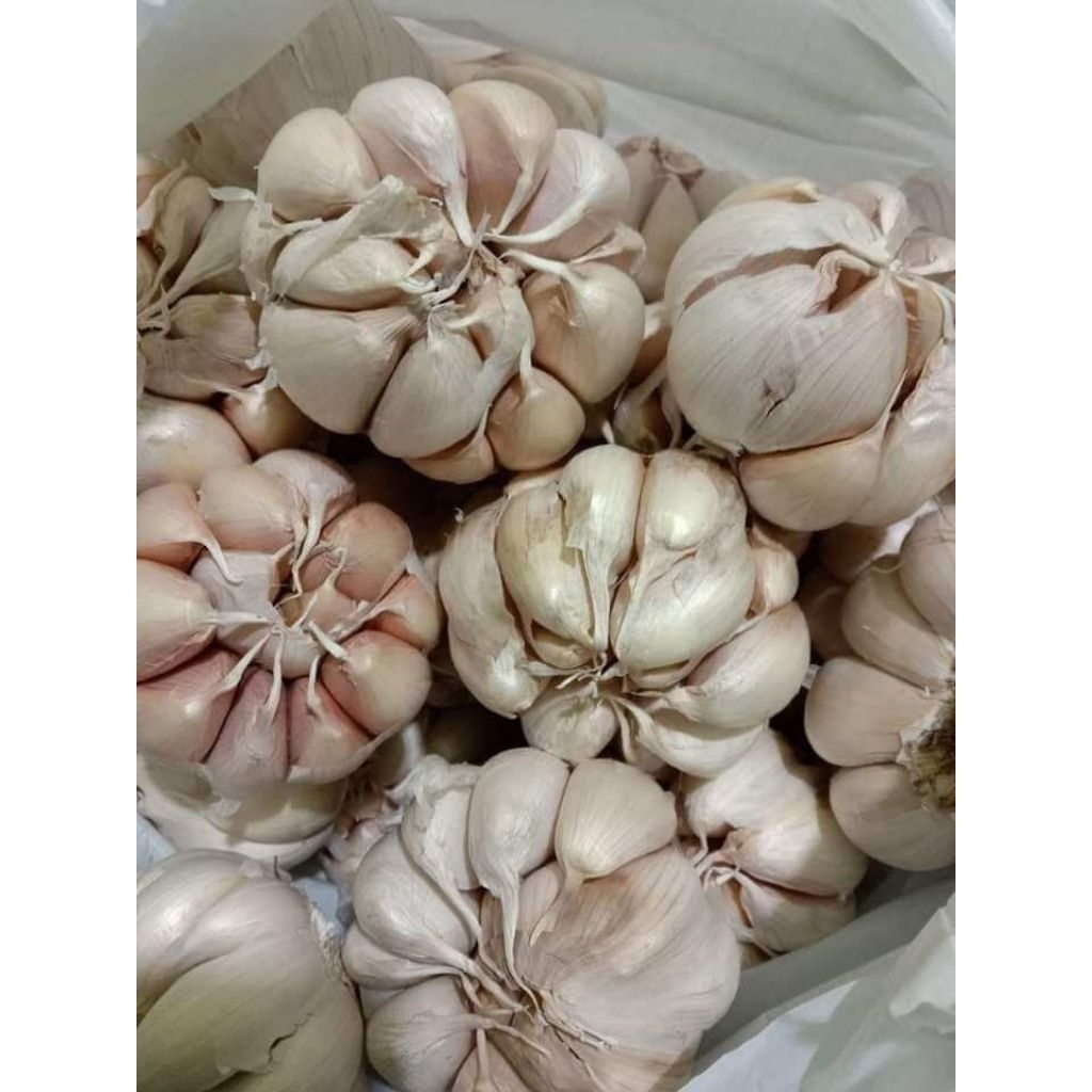 

Bawang putih fresh premium 250gr 500gr 1kg
