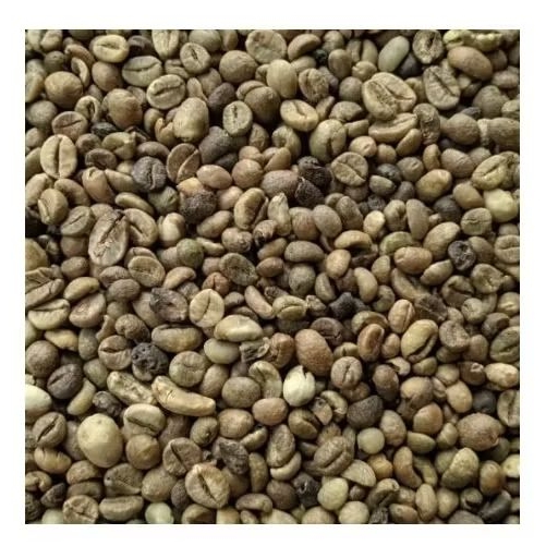 

BIJI KOPI LAMPUNG, Kopi mentah asli khas Lampung campur ukuran