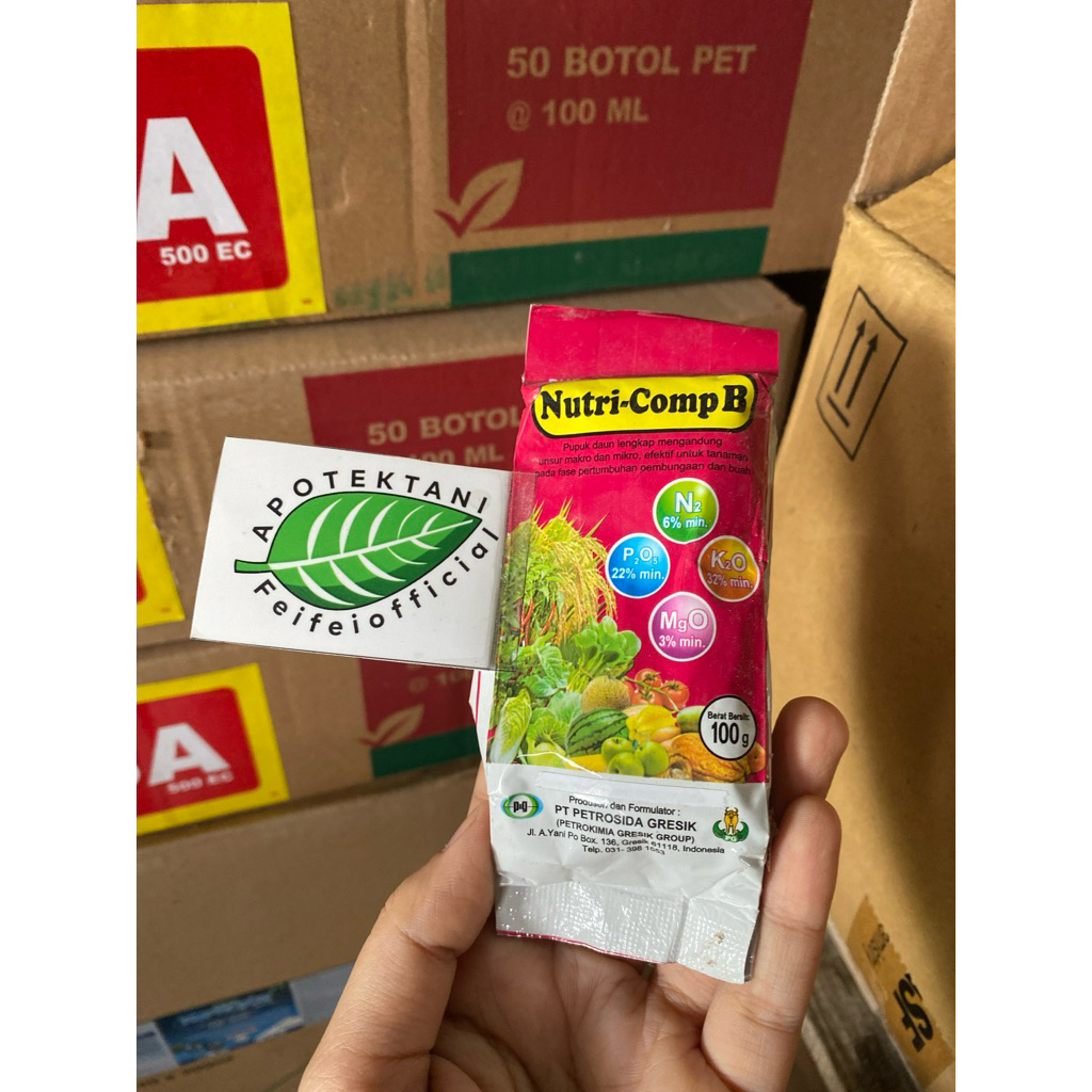 NUTRICOMP B 100 GRAM / NUTRI COMP B 100 GRAM / NUTRICOMP B 100GRAM / NUTRI COMP B 100GRAM