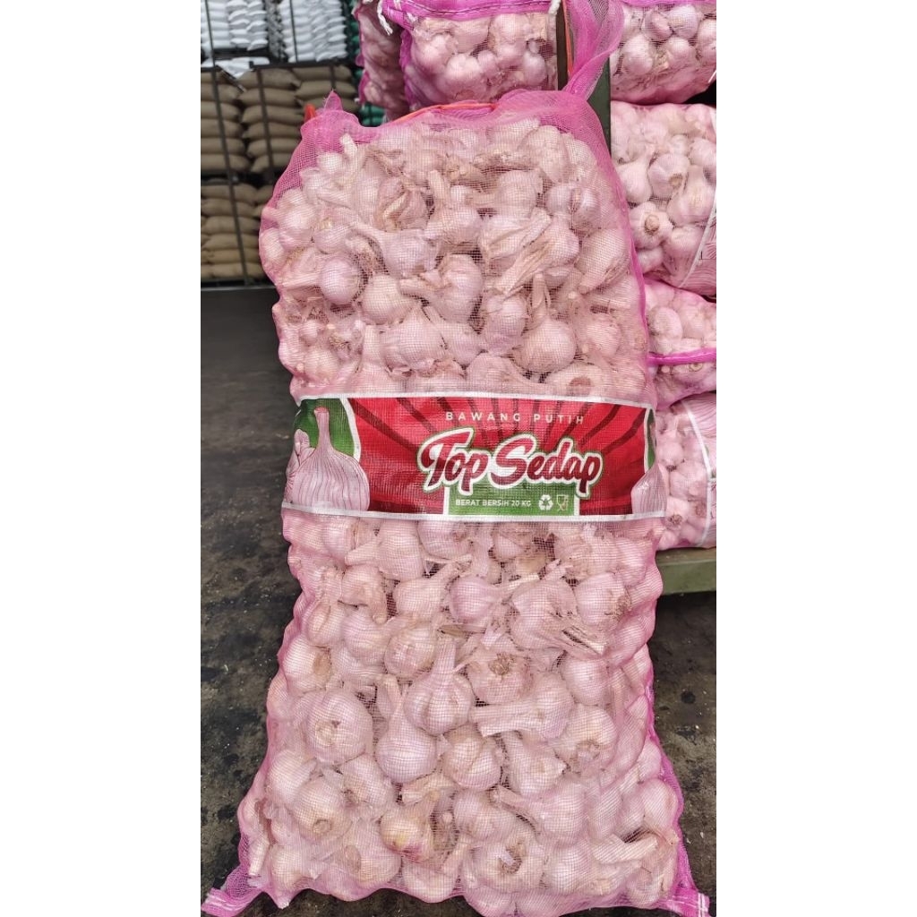 Paket Usaha Bawang Putih Rumahan 20kg se-Karung Panen Baru  Kwalitas Super