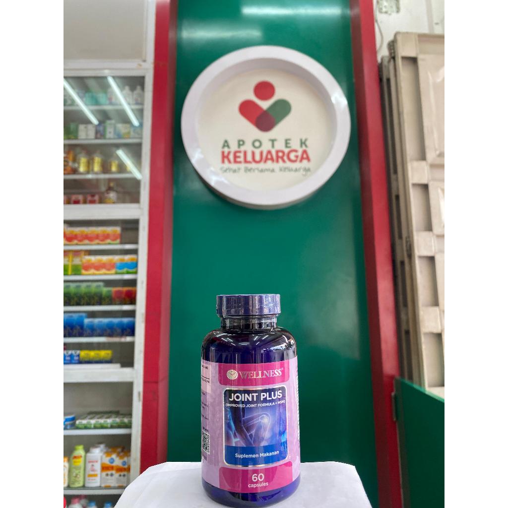 Wellness JOINT PLUS CAP (60)