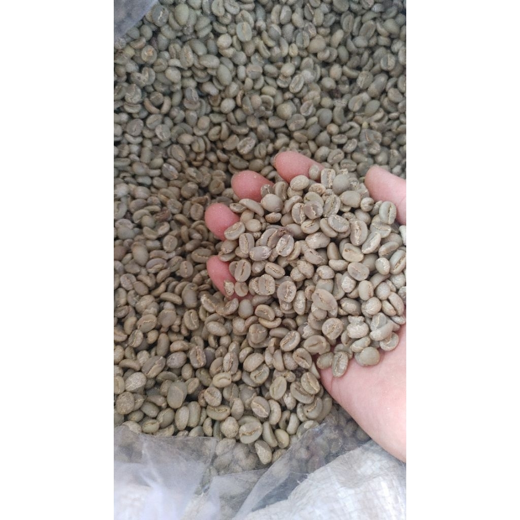 Greenbean Kopi Arabika Pangalengan Grade 1
