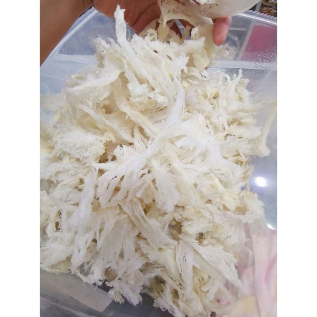 

Sarang Burung Walet Kalimantan Patahan/100% walet Asli