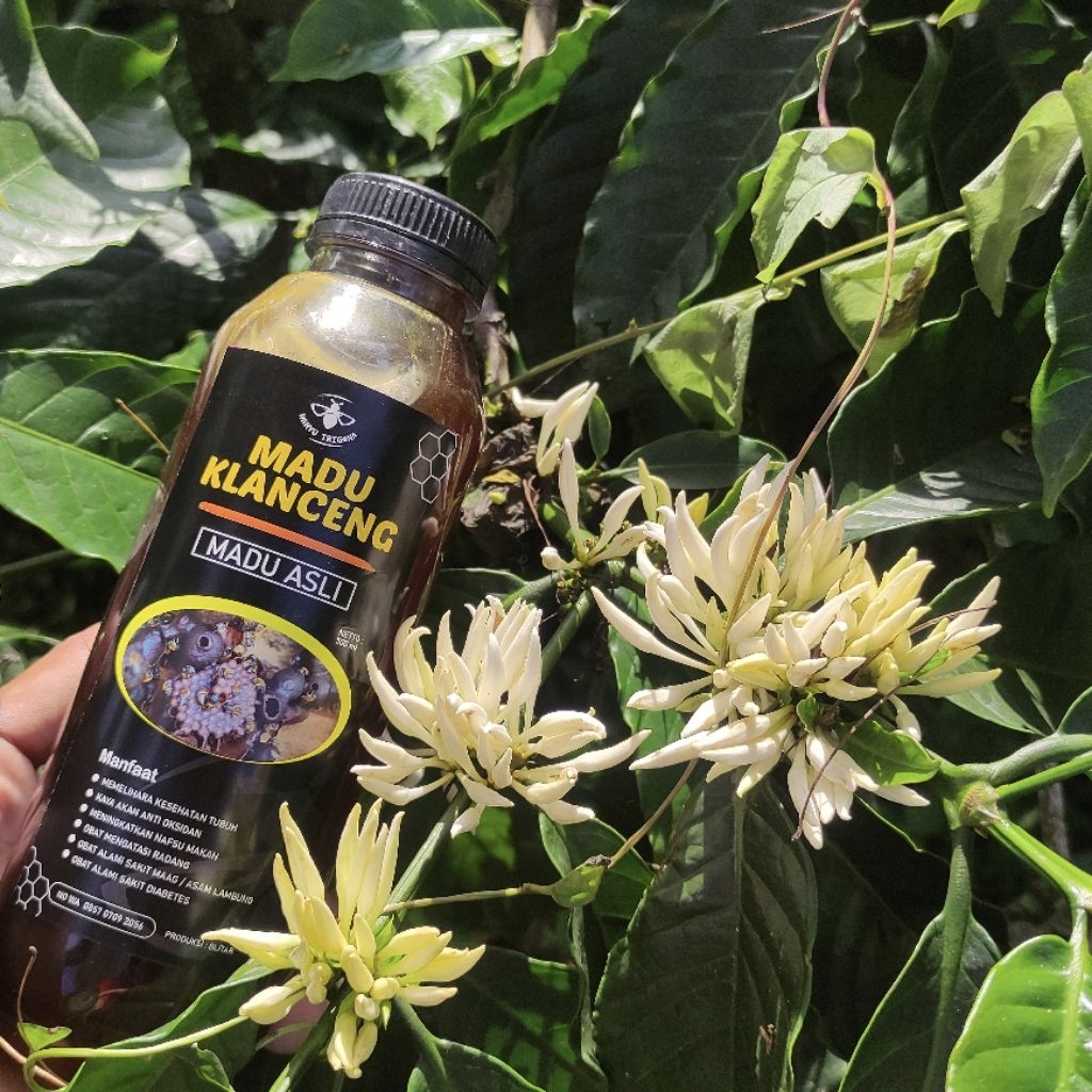 

Madu Klanceng/ Trigona/ Kelulut Biroi 500ml