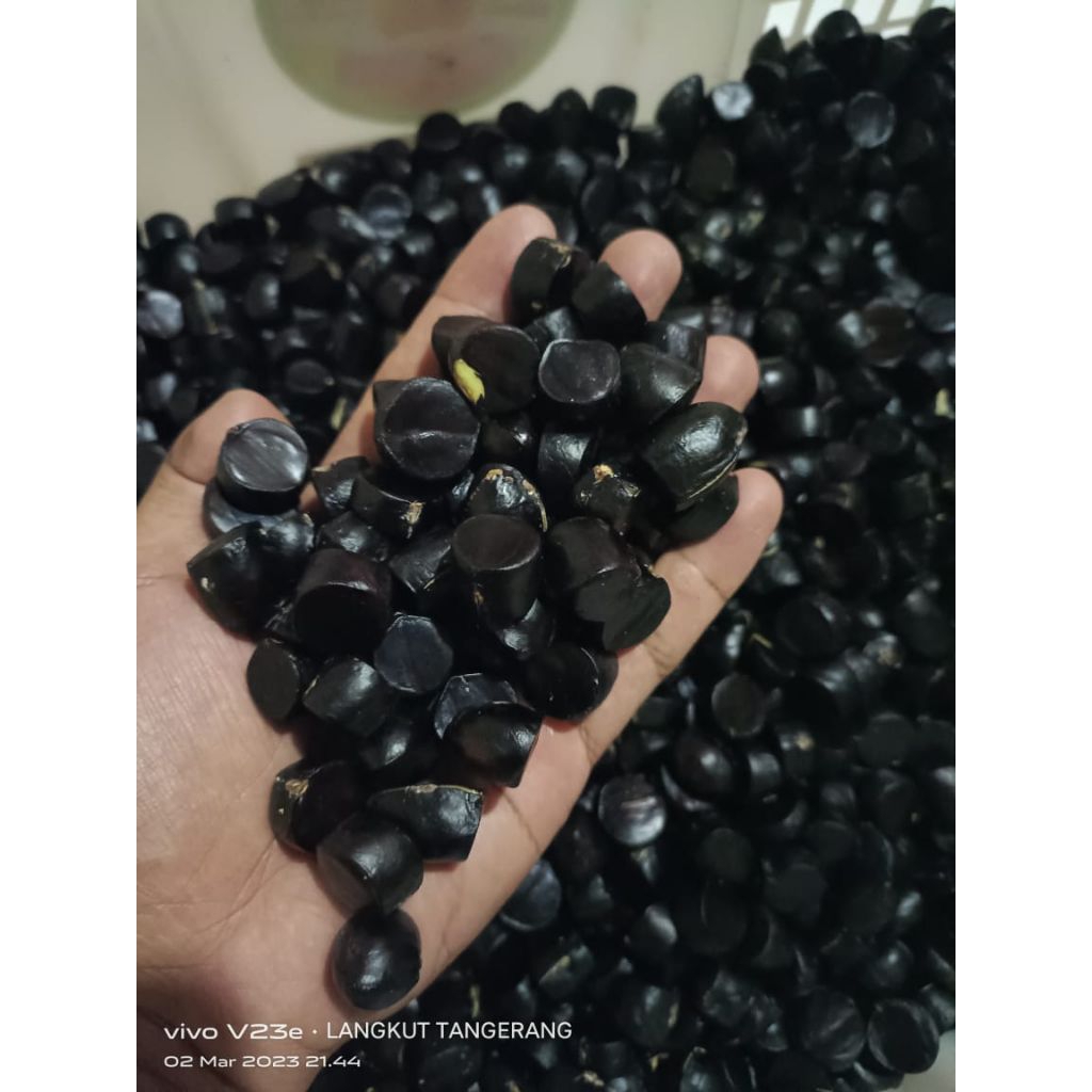 jaling kabau 250gram