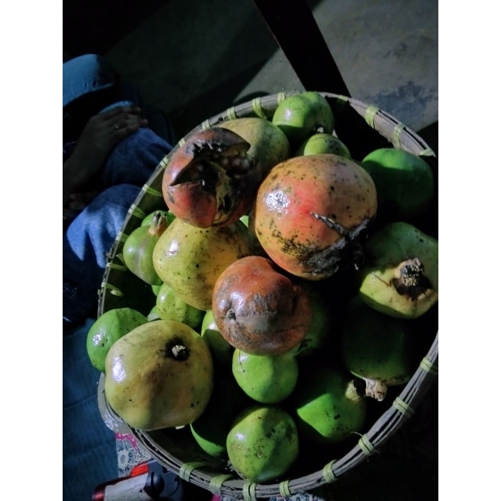 

buah delima lokal 3 biji