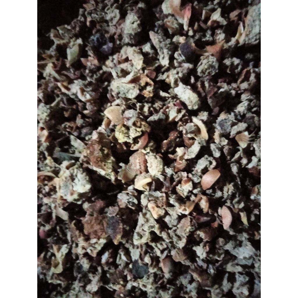 

buah malaka /amla kering