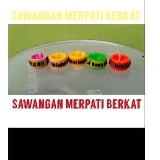 cincin klip clip burung merpati gelang ring rikues nama bongkar pasang