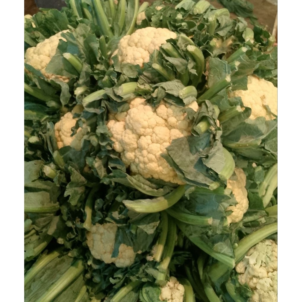 

Sayur Kembang Kol Bunga Kol Putih Segar Fresh 500gram