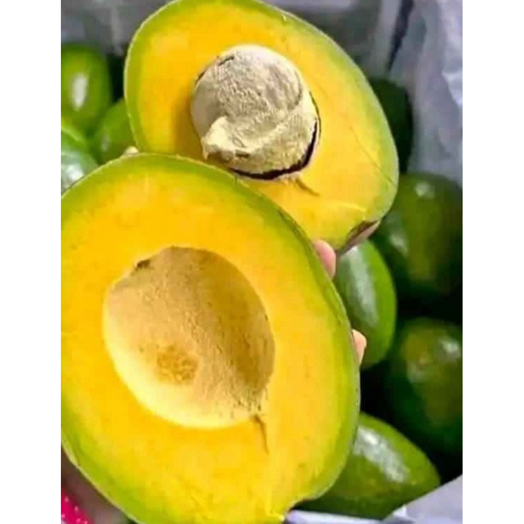 

ALPUKAT MENTEGA GRADE B PULEN Legit lokal muria 1kg isi 3