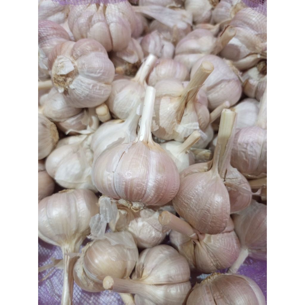 

BAWANG PUTIH KATING 1KG