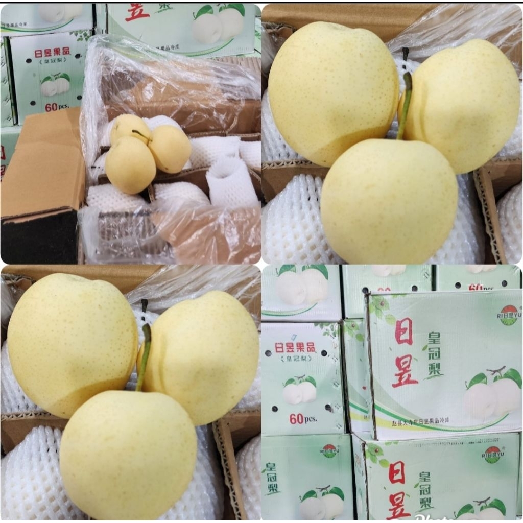 

Buah Pir Pear Century 1kg