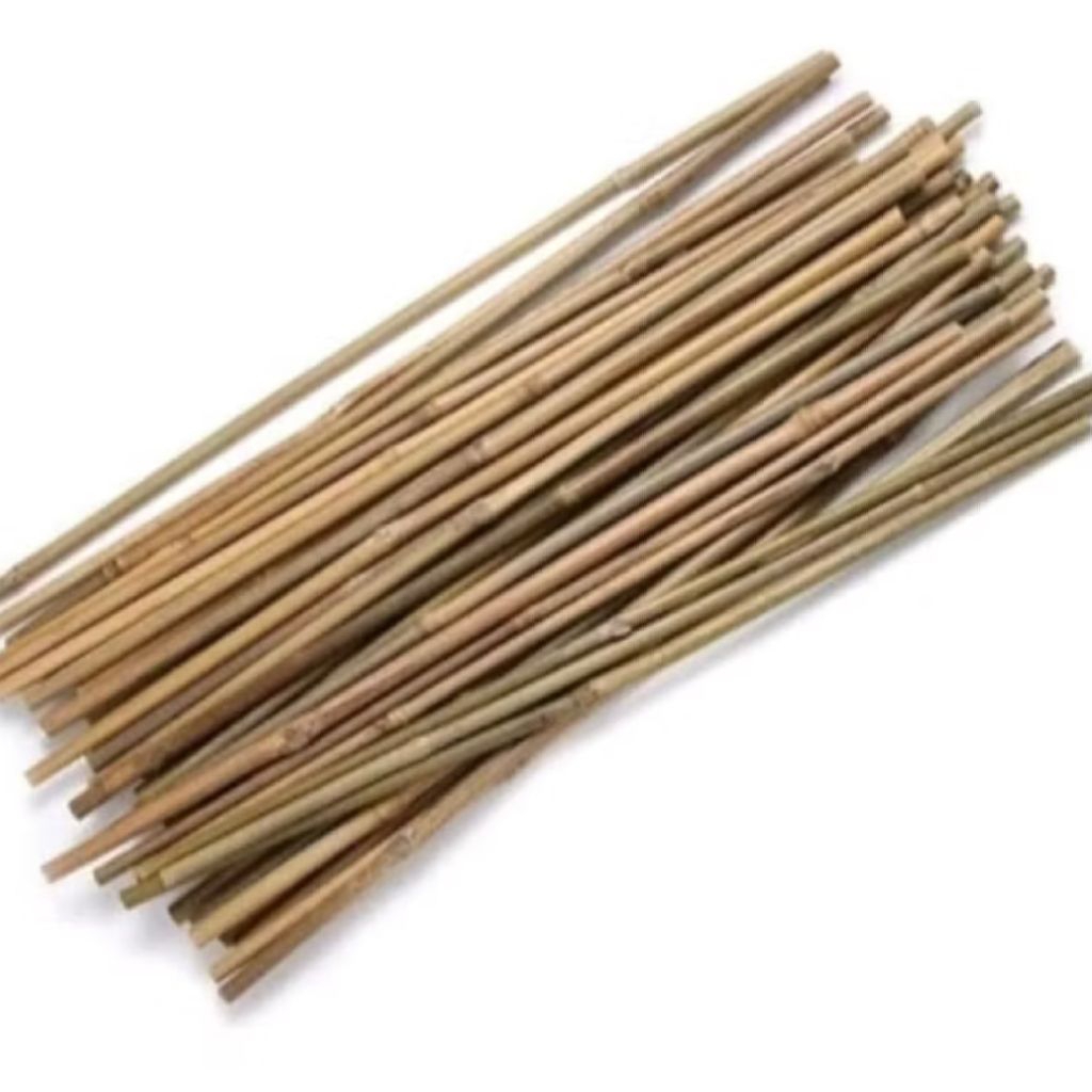 

Ranting Bambu Kering Ramah Lingkungan Untuk Berkreasi Isi 10 Pcs panjang 40 cm - Tidak Bercabang