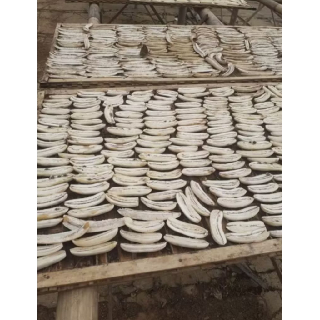 

sale pisang basah 1 kg