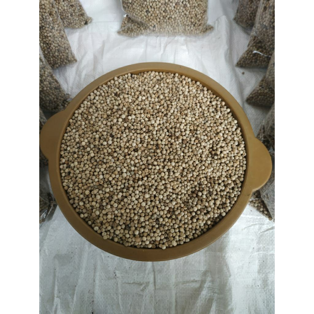 

Lada Putih Butir 3 Kg / Lada Putih Super / Lada Putih Butir / Merica Utuh Premium / Lada Putih Murah