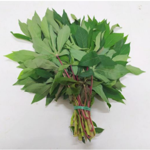 

500 Gram Daun Singkong Segar (dipetik saat order masuk)