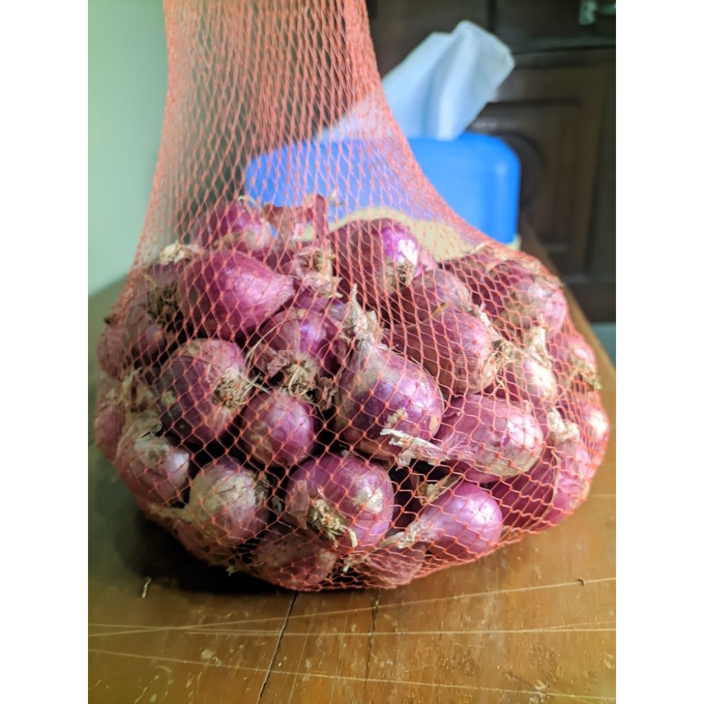 

Bawang Brebes Ukuran besar Kualitas BAGUS 1KG