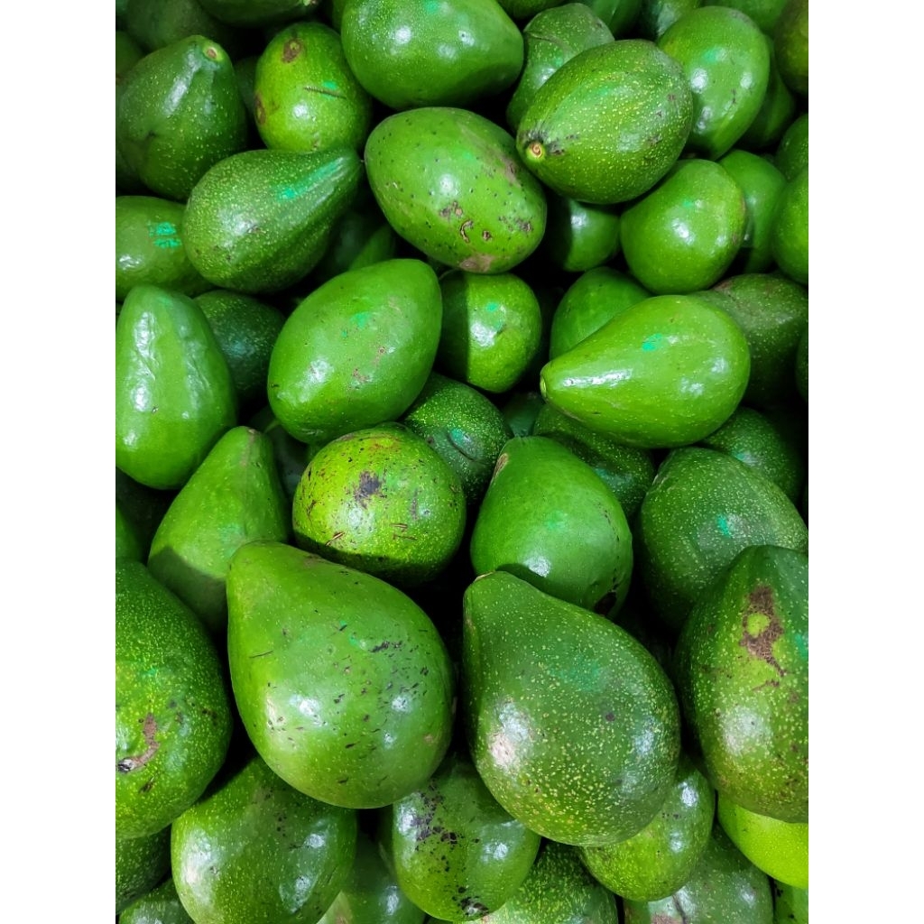 

Alpukat Mentega Lampung 1kg