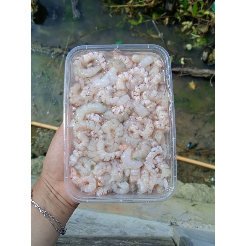 

Frozen Seafood Udang Merah Kupas/Bersih
