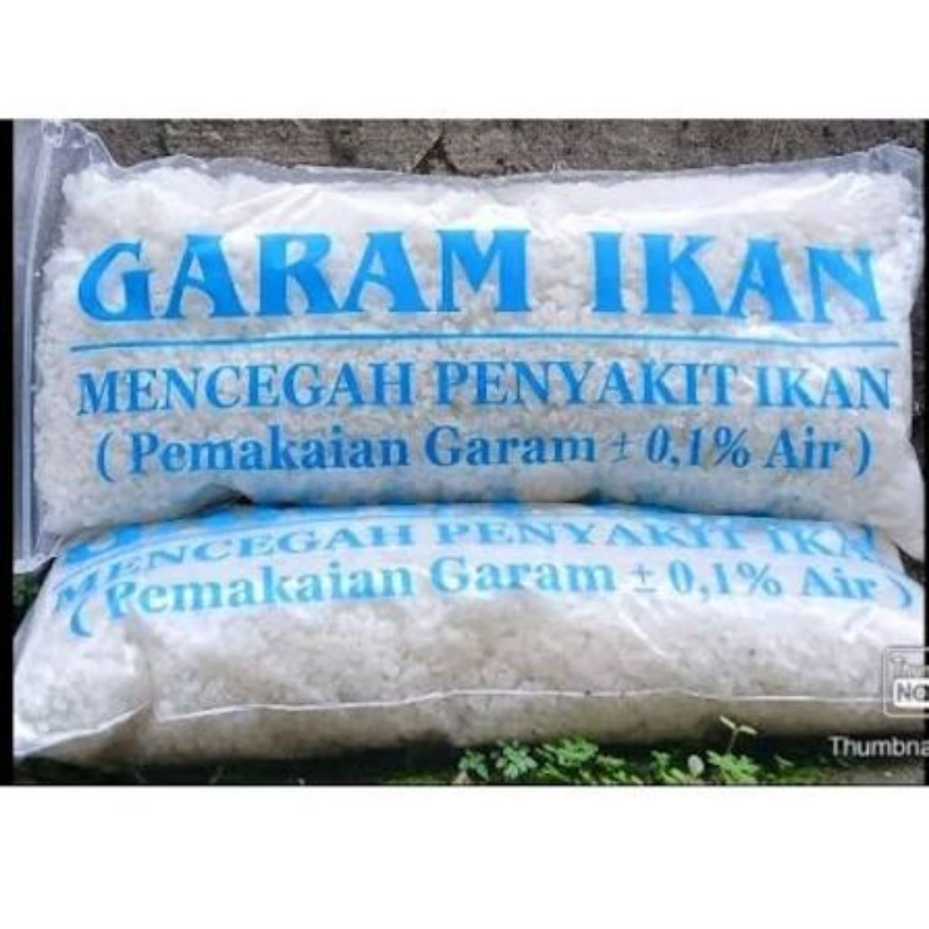 

garam ikan asli berkualitas
