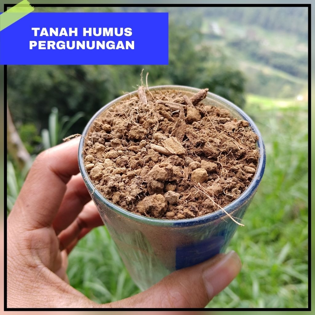 TANAH HUMUS PEGUNUNGAN MEDIA TANAM TANAH SUBUR ALAM