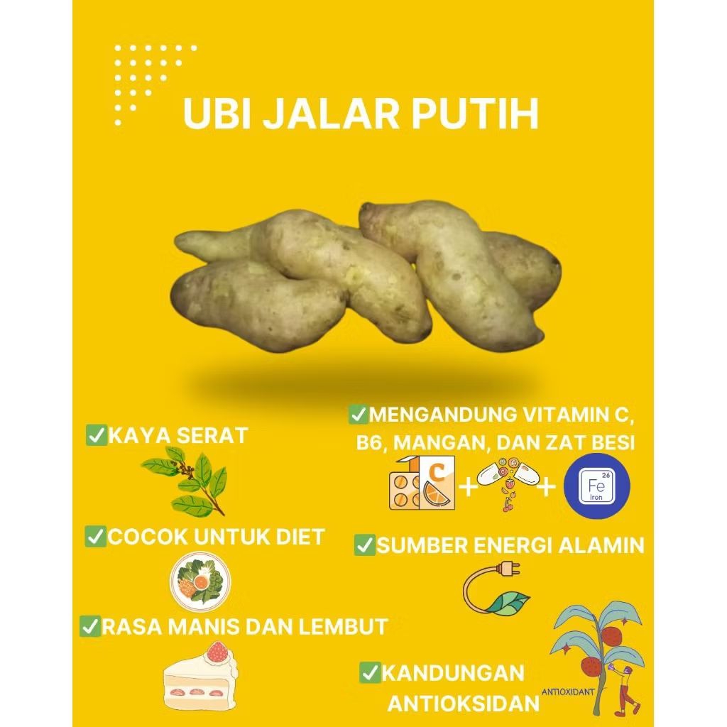 ubi jalar putih