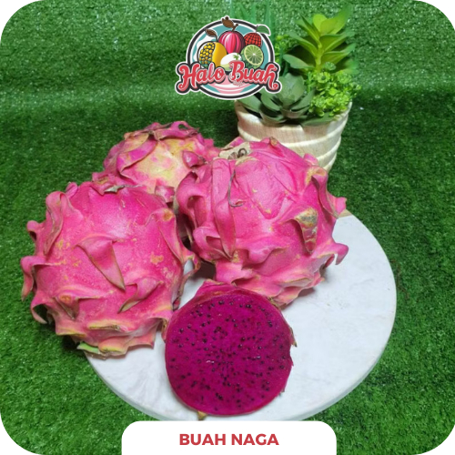 

Buah Naga MANIS SEGAR 1kg