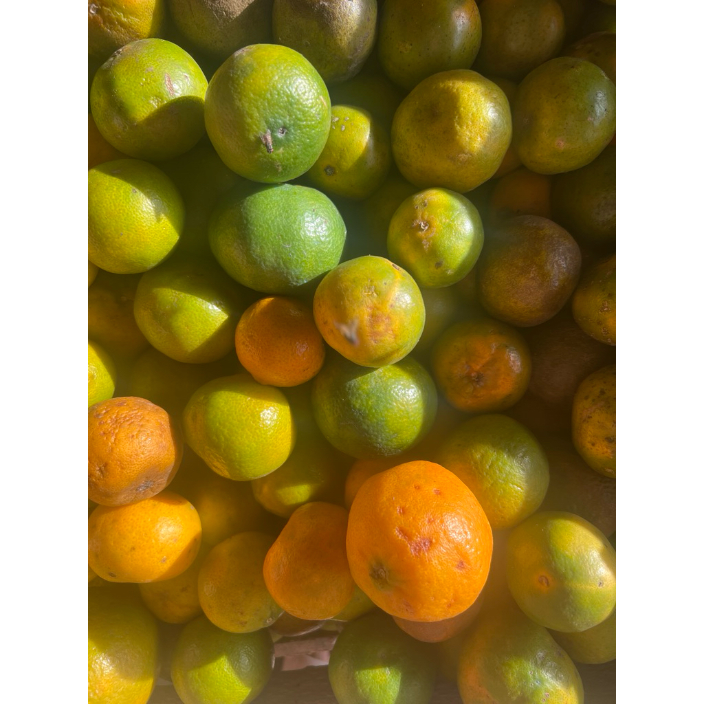 

JERUK PERAS JERUK ES 1 kg