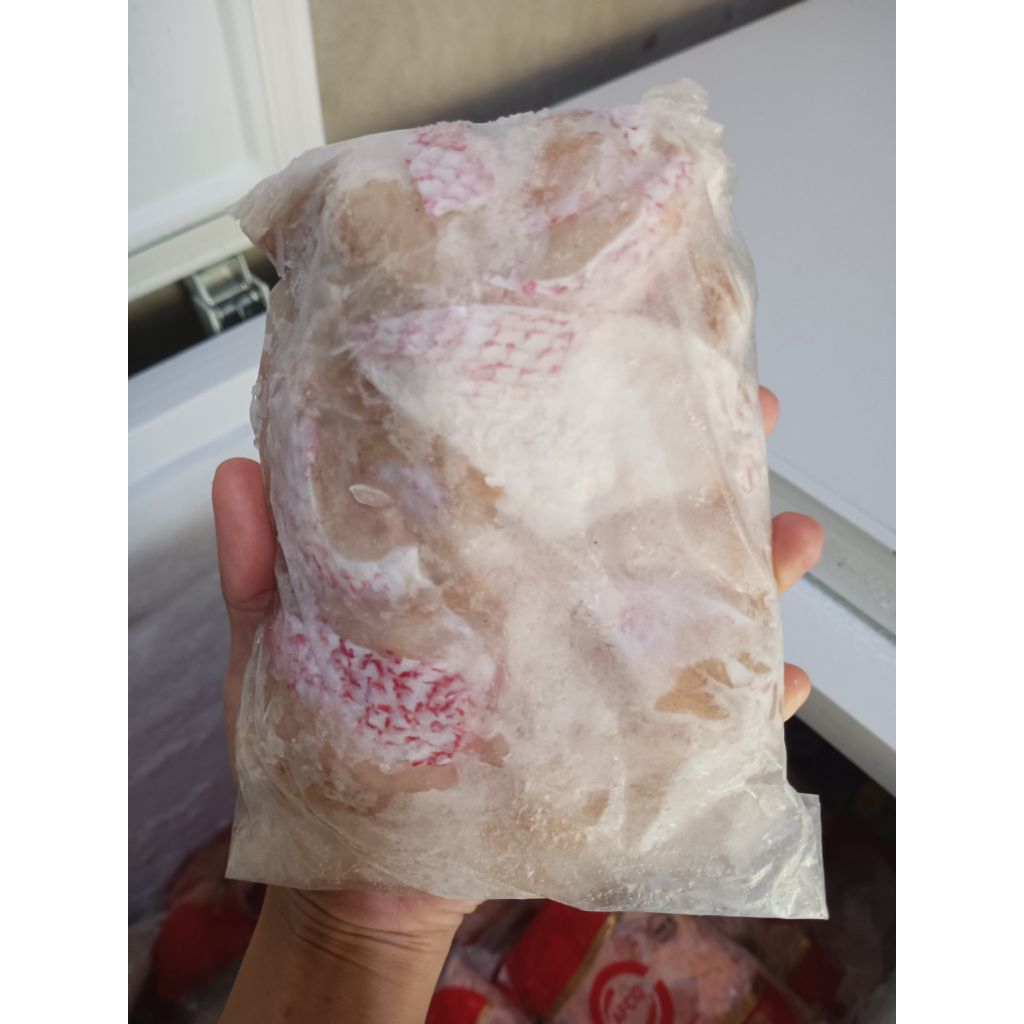 

Titik Frozen | Tetelan ikan kakap merah