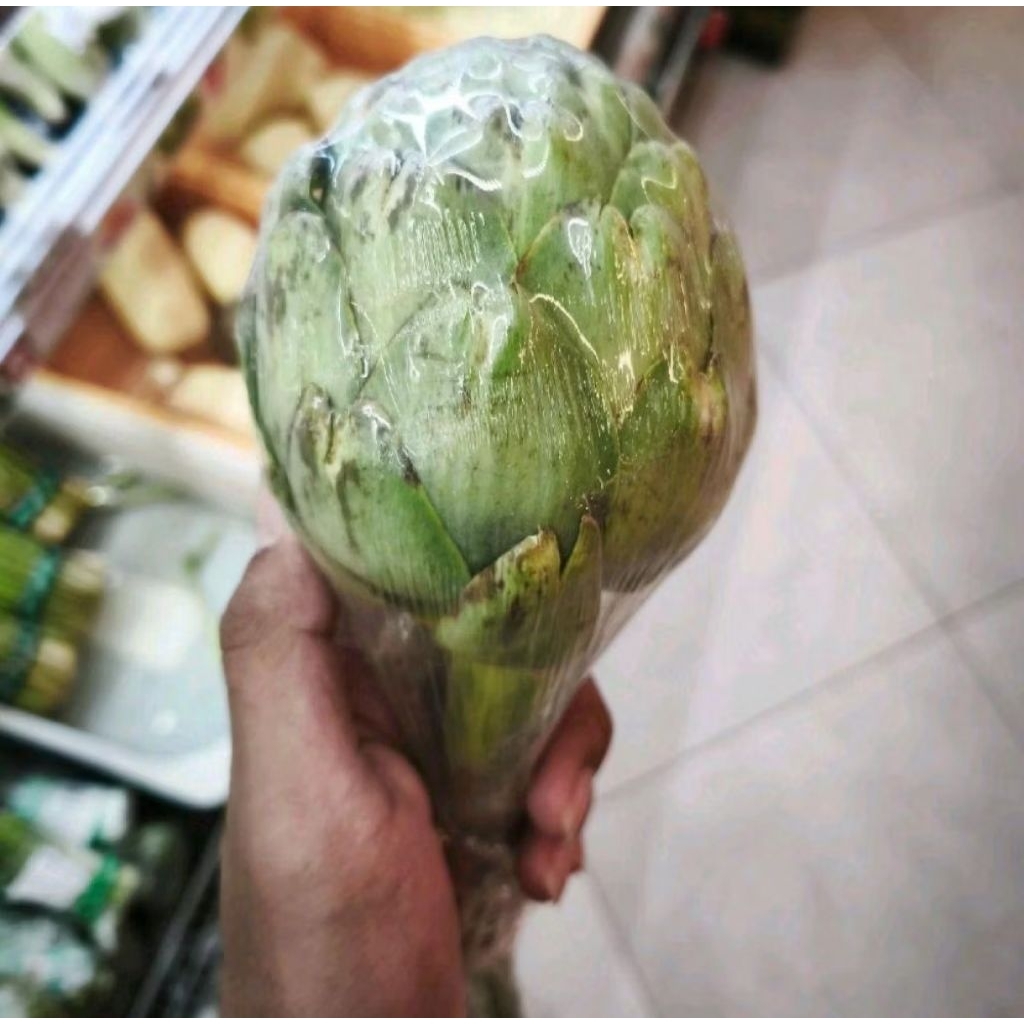 

Artichoke seed Australia sayur artichoke super fresh-+300gram