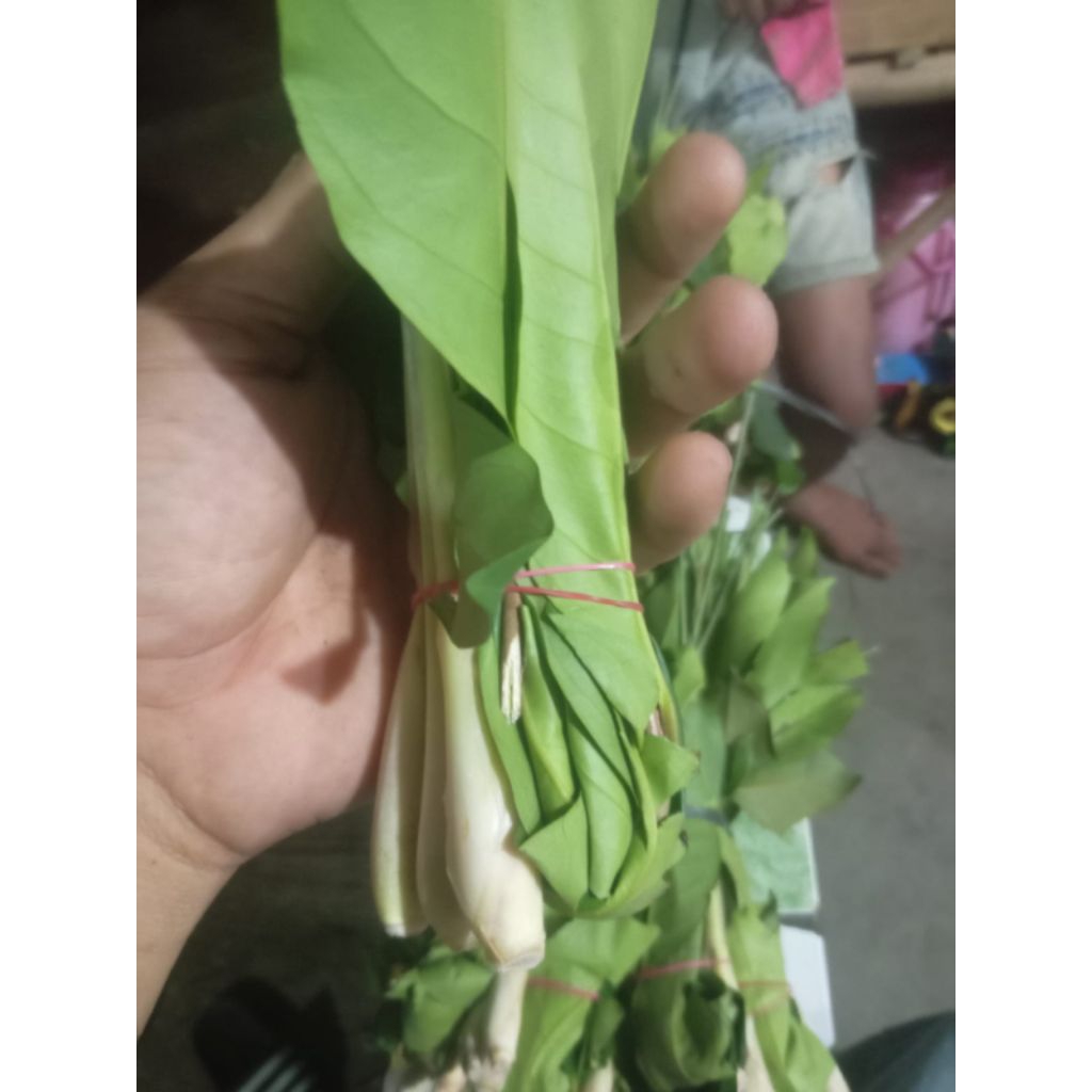 

salam+sereh/serai ikatan 1ikat kecil