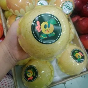 

pir golden besar (1pcs berat 500gr) 1per pack