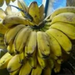 

pisang kepok sedang 1per pack