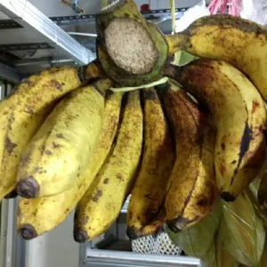 

pisang raja sereh sedang 1per pack