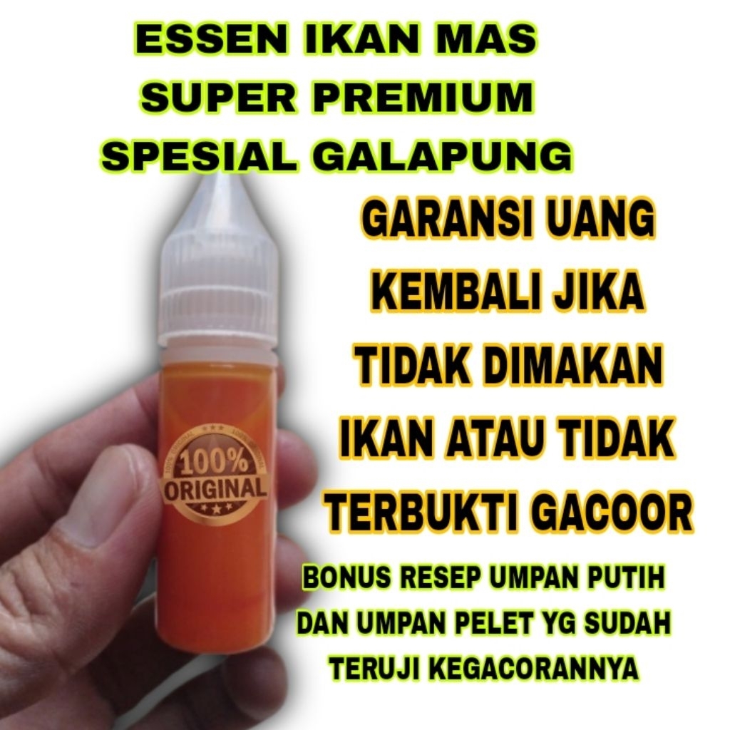 Essen ikan mas babon rame Essen ikan mas galapung essen ikan mas paling bagus buat lomba Essen ayam 