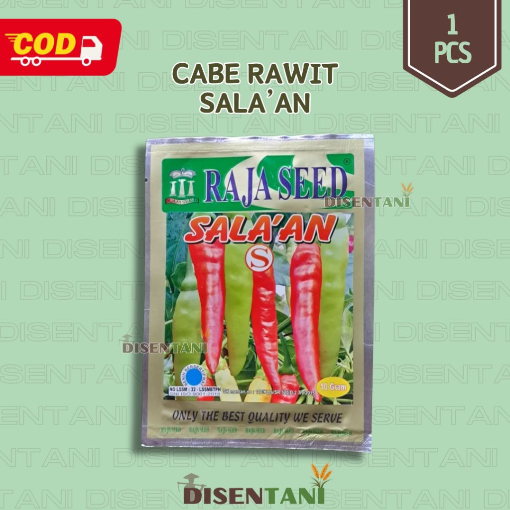 Benih Cabai Rawit Sala’an Salaan Salakan Raja Seed – Tahan Penyakit, Buah Lebat & Pedas