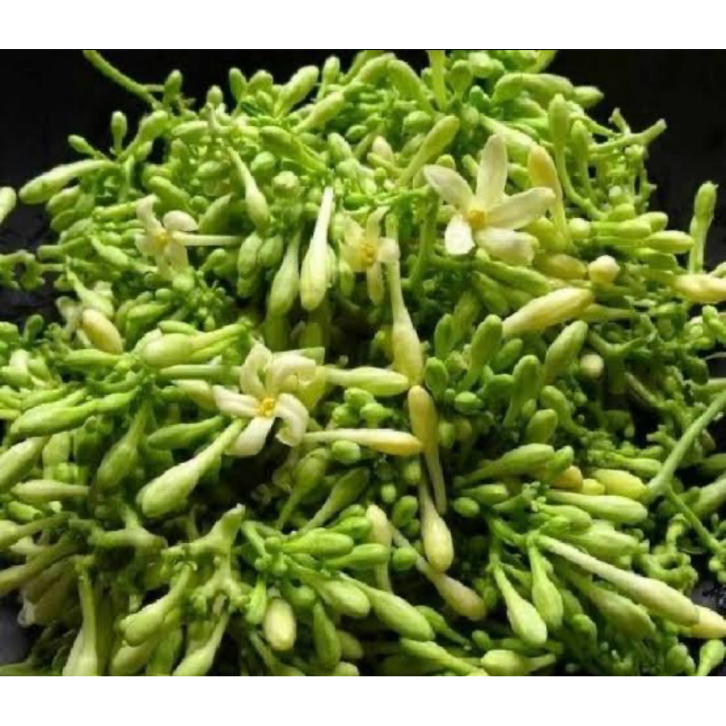 

Kembang pepaya (250gr)