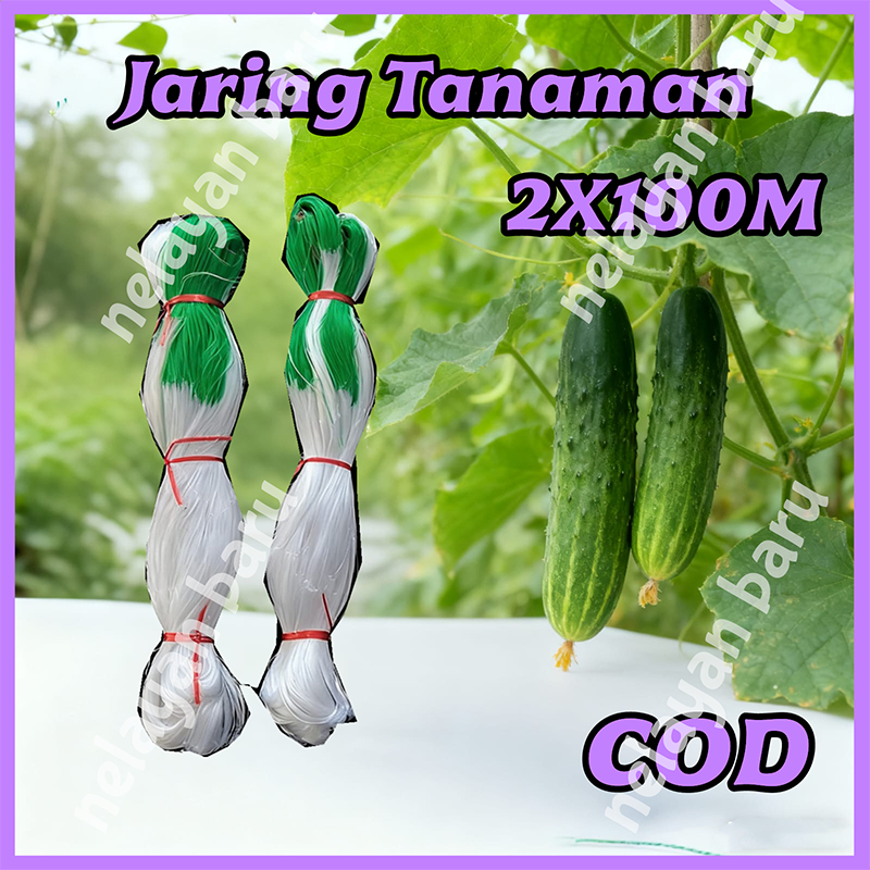 Jaring Rambatan Tanaman Jaring Anggur Sayuran Jaring Tanaman Melon Sayuran - 2meter X 100meter