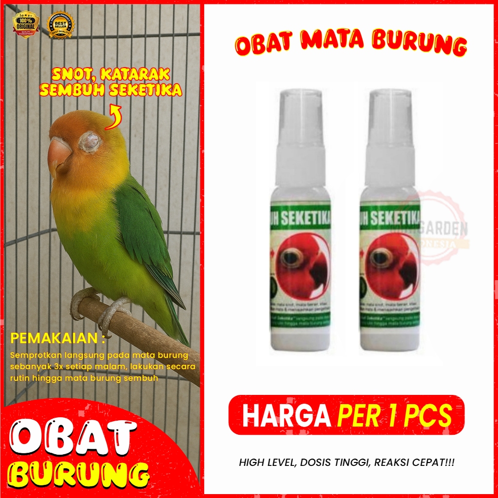 OBAT SAKIT MATA BURUNG KATARAK SNOT SEMBUH SEKETIKA iritasi bengkak obat mata burung spray