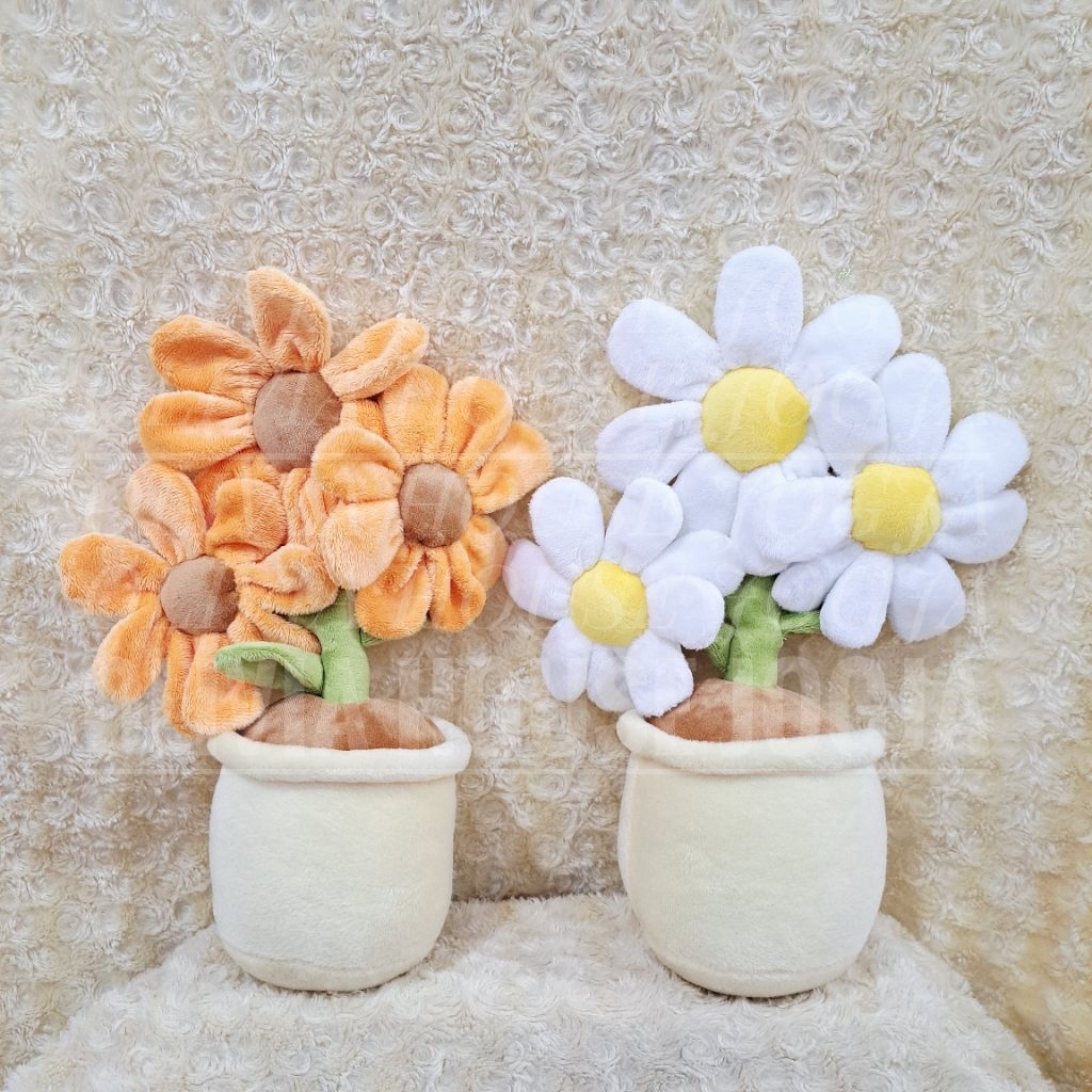 Boneka Daisy Putih 8 Kelopak Boneka Bunga Daisy Pot Cream