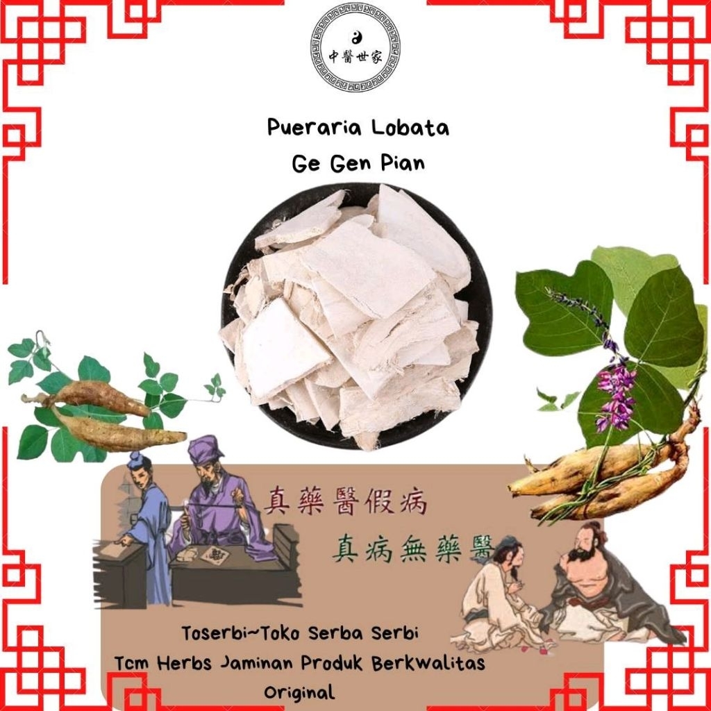 600gr  ge gen pian premium pueraria lobata kudzu