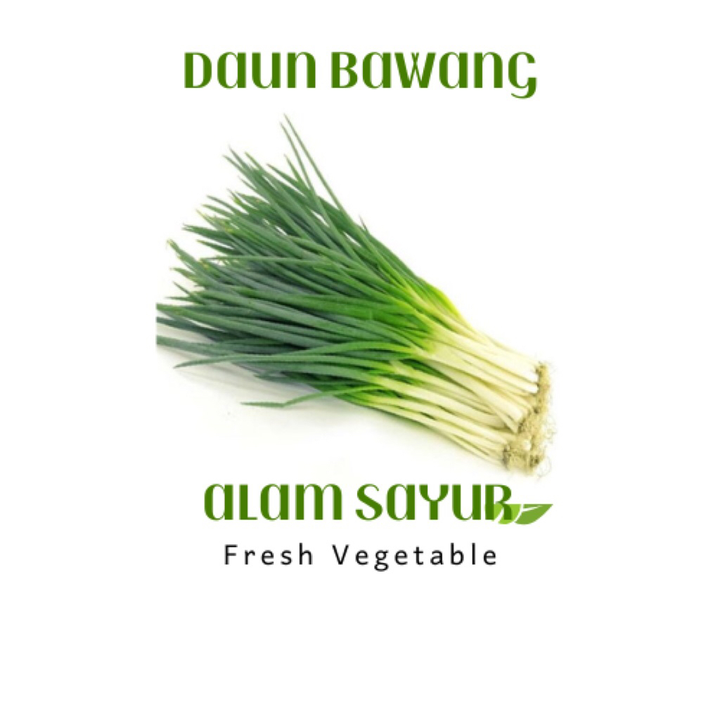 

Daun Bawang - Teman Hijau jogja