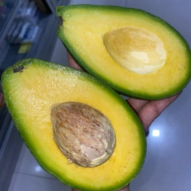 

alpukat aligator 1kg isi 2-3 buah dikirim mentah