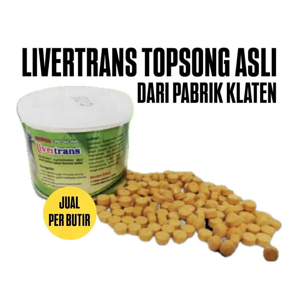 LIVERTRANS TOPSONG