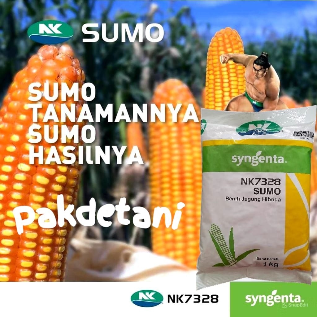 Benih Jagung NK 7328 | NK SUMO - 1Kg