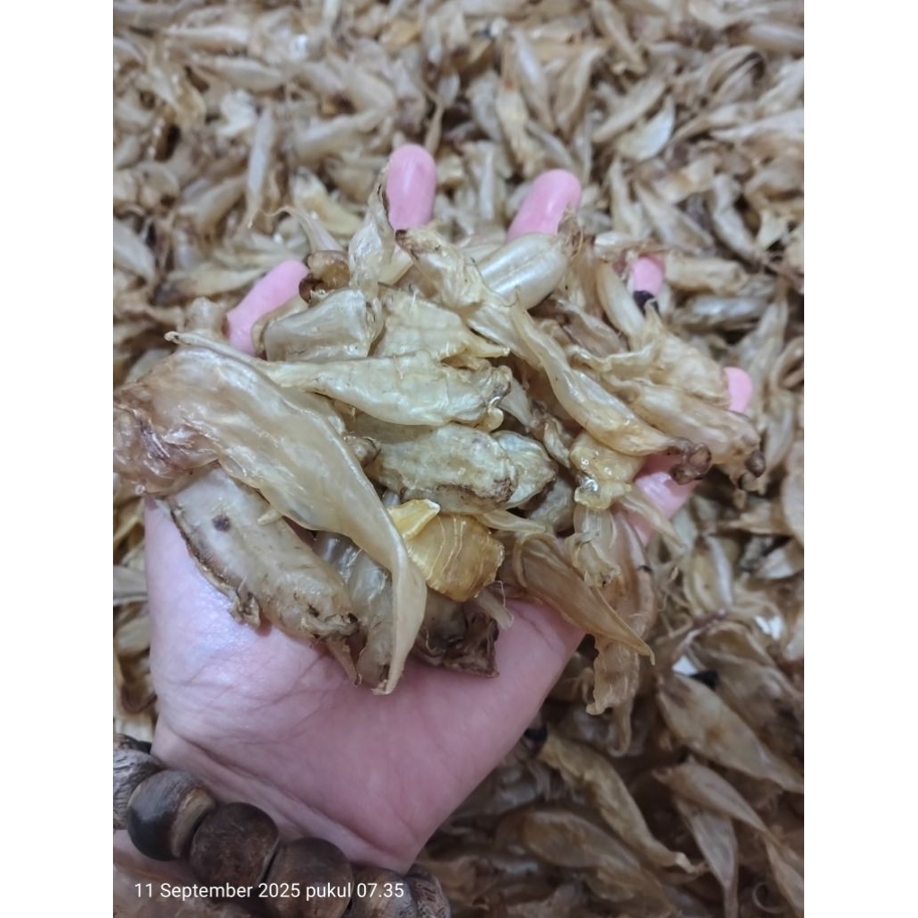 

Samge pio /gelambung ikan samge 250gr /gulama/ hepiaw (Tawar & tebal)