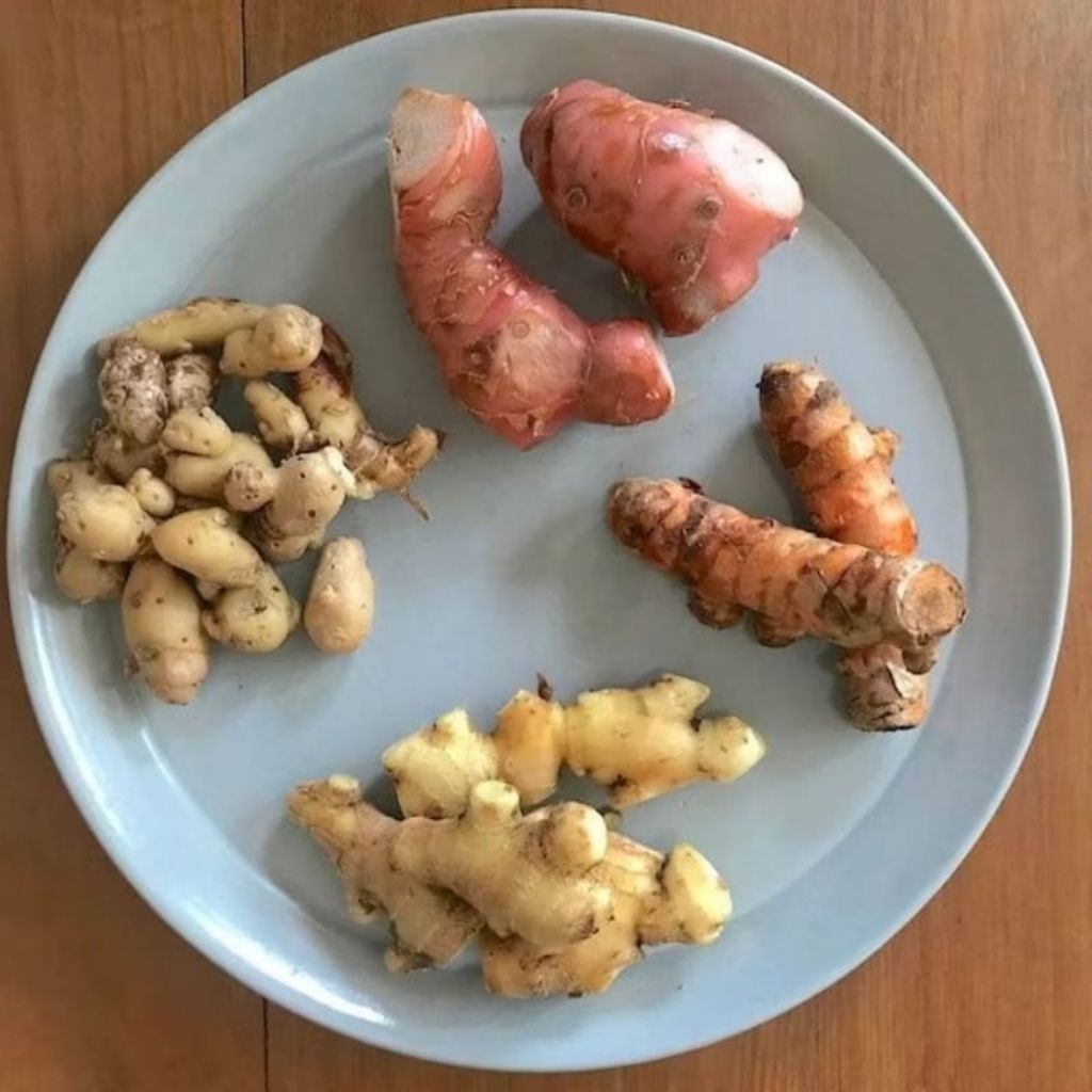 

Jahe, Lengkuas, Kunyit Kencur