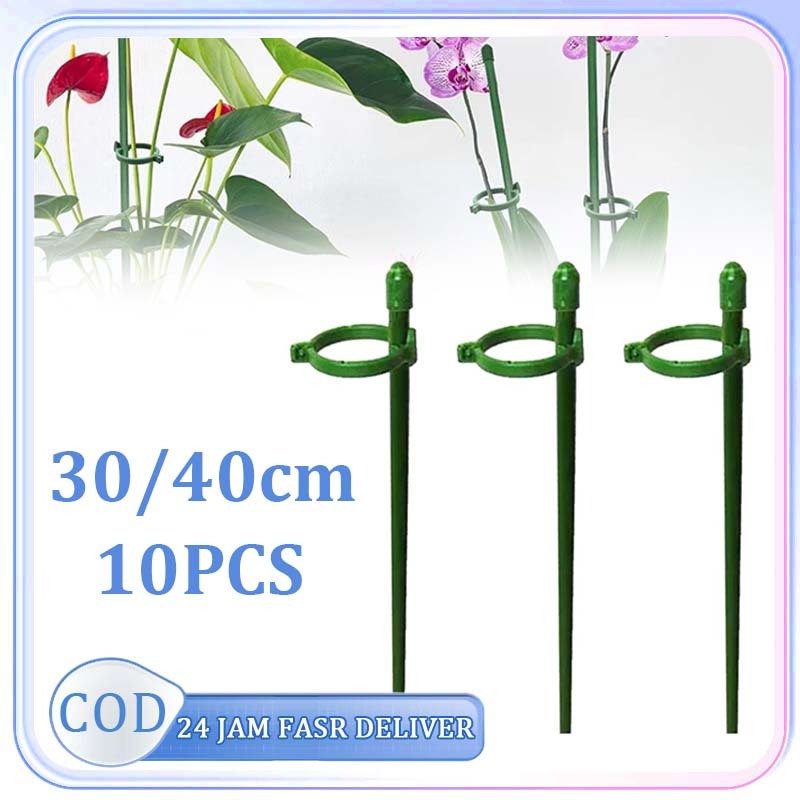 10pcs Turus Penyangga Tanaman Kawat Penyangga Anggrek Tiang Penyangga Tanaman Rambat